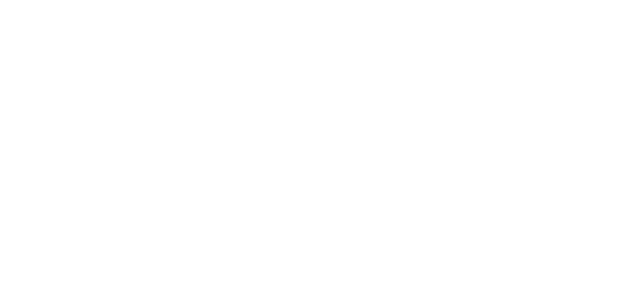 Boise Boys logo
